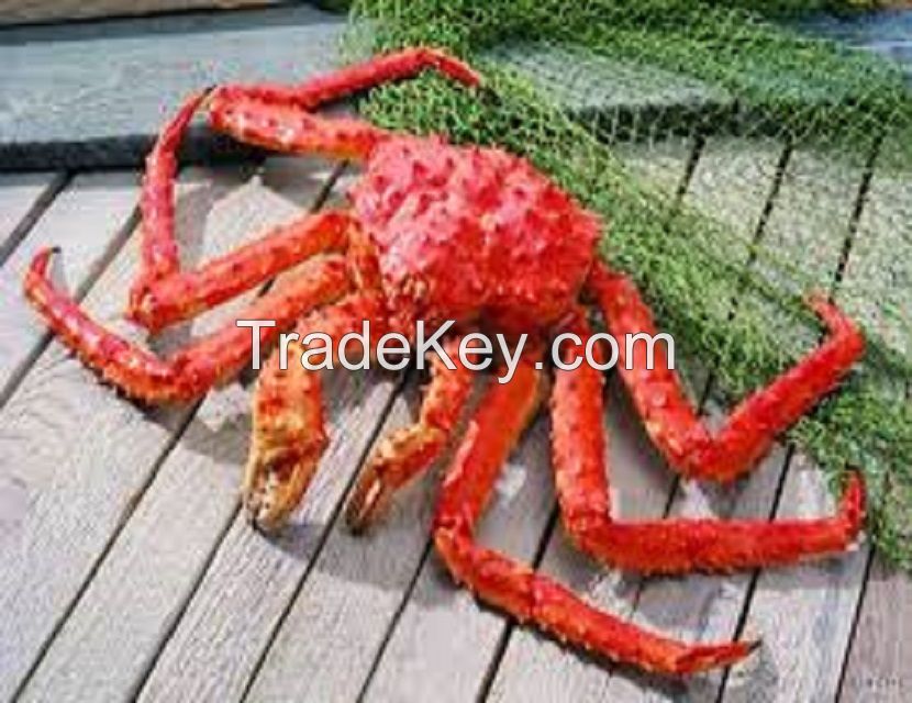 Crab , Red King Crab , Live and Frozen Red king crab