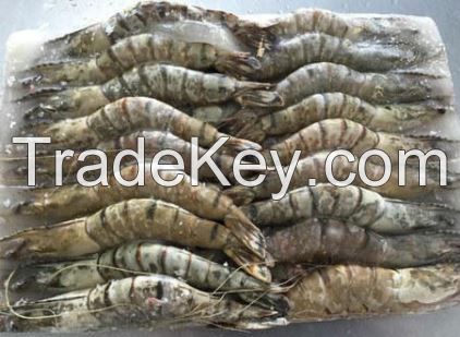 Seafood Frozen Quality Headless Tiger Shrimps & Prawns