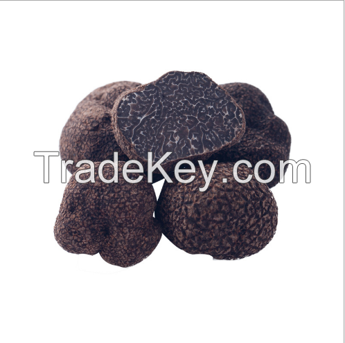 White and Black truffle, fresh truffle