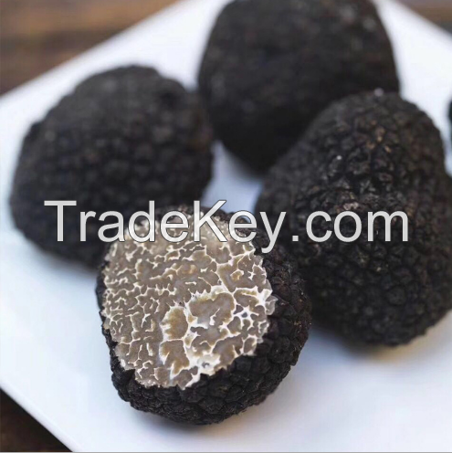 White and Black truffle, fresh truffle