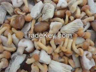 Fresh Natural  frozen mushroom