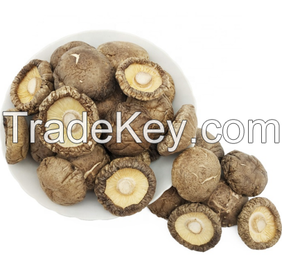 Bulk Dried Whole Magic Mushroom 