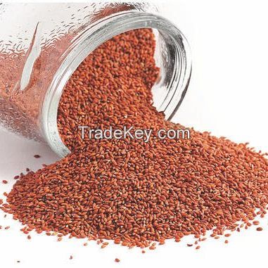 Asaliya Seeds