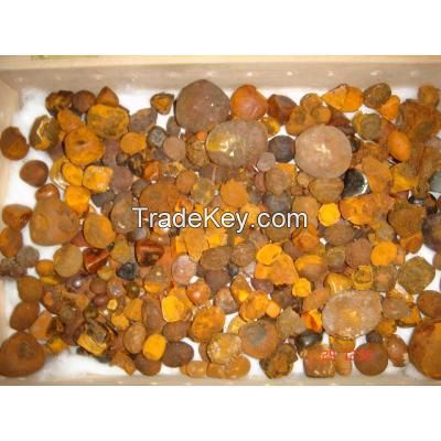 Cattle Gallstones and Cow Gallstones 