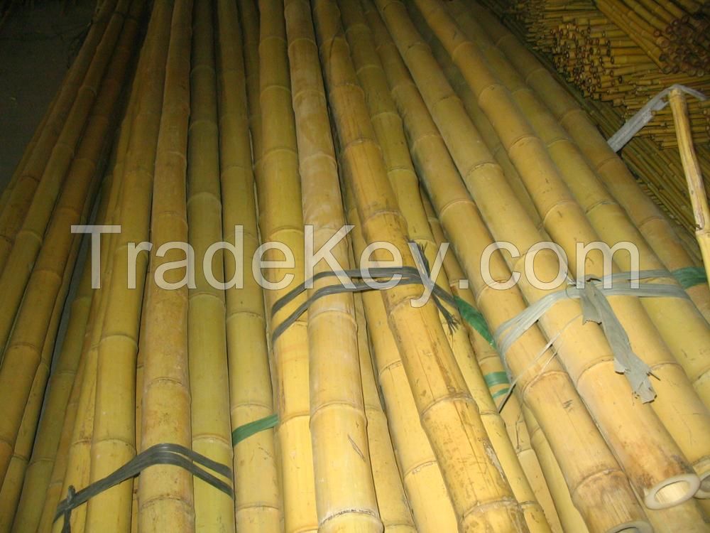 Bamboo Raw Materials