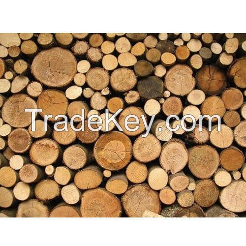 Timber Logs