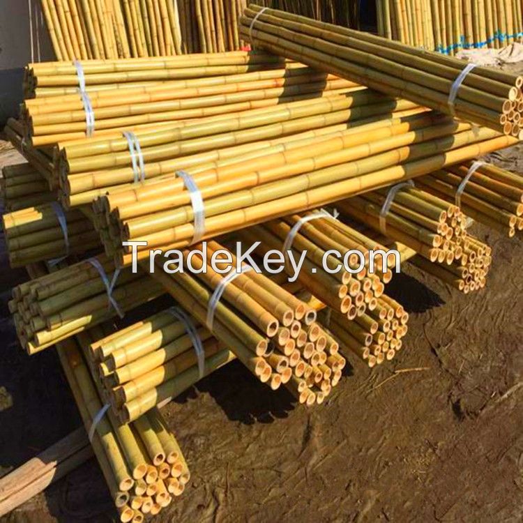 Bamboo Raw Materials