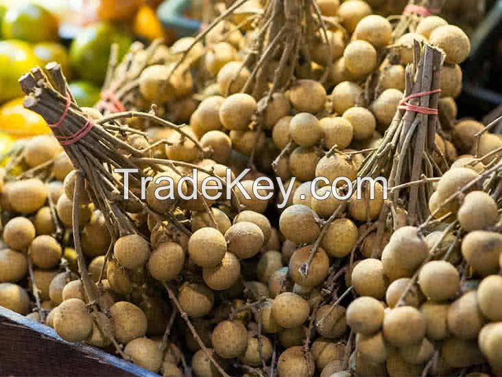 Longan