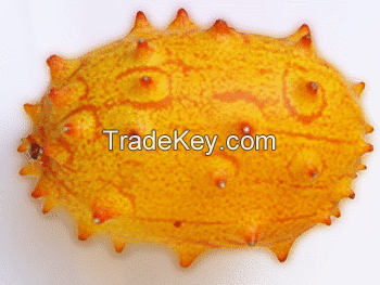 Horned Melon