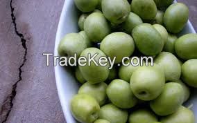 Picholine Olives