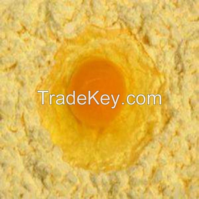 Egg yolk Powder with quality protein