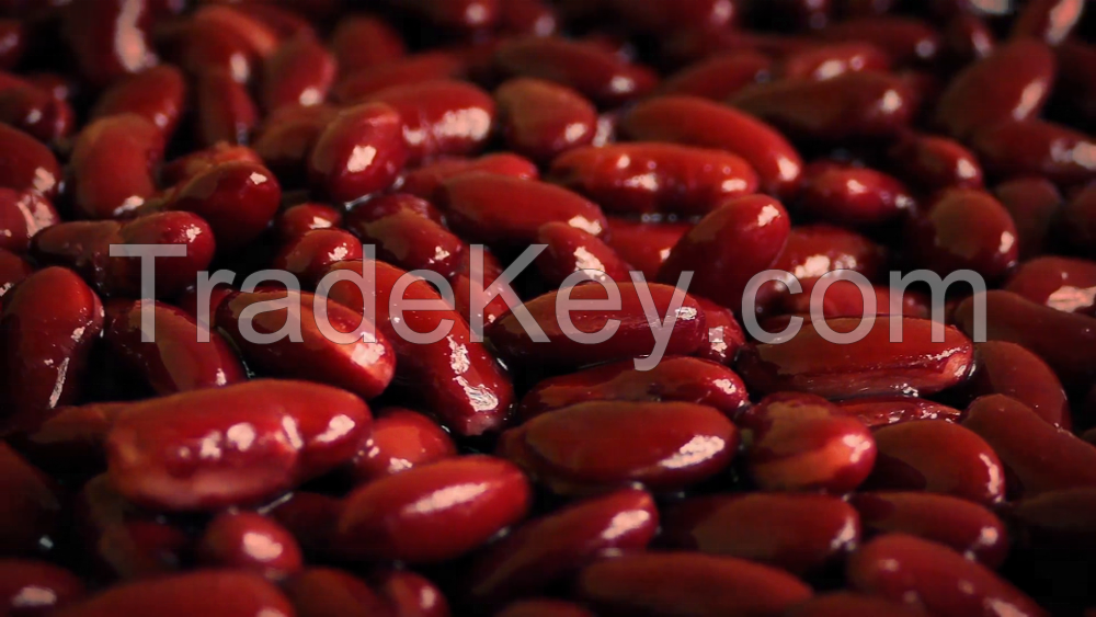 Canned red kidney beans