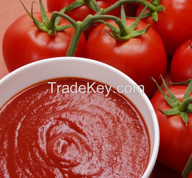 Cheap tomato canned wholesale tomato paste 