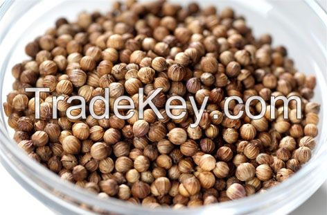 Export quality coriander seed 