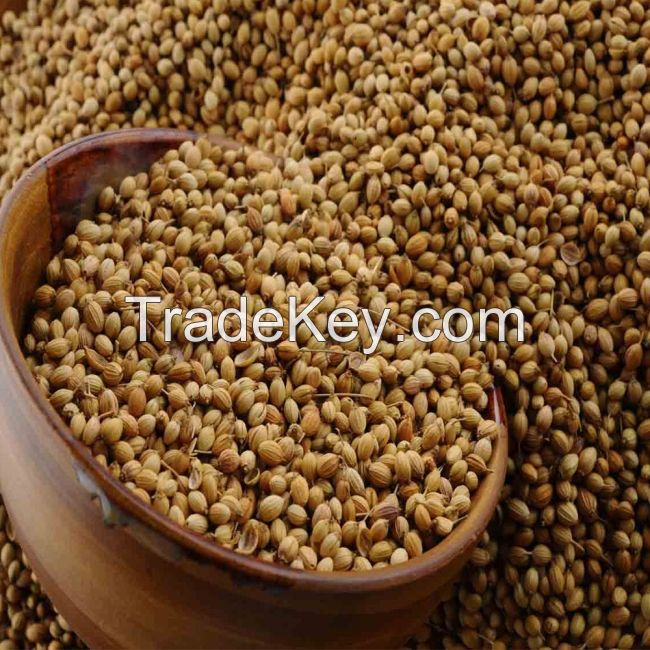 Export quality coriander seed 