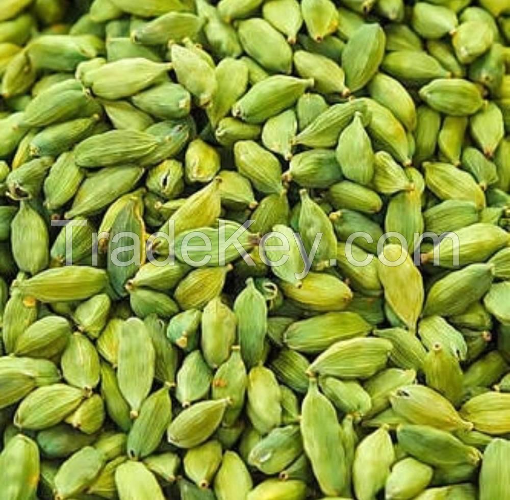 Asian Green Cardamom (Size 7-9mm)