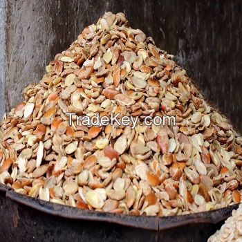 Irvingia Gabonensis , Ogbono Seeds for sale 