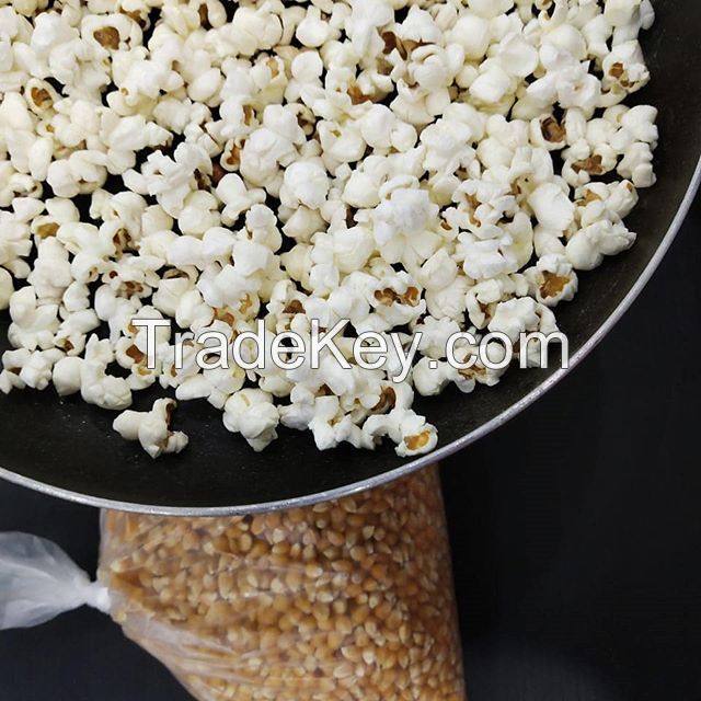 Bulk Selling Top Quality Popcorn Kernels at Low Affordable Price