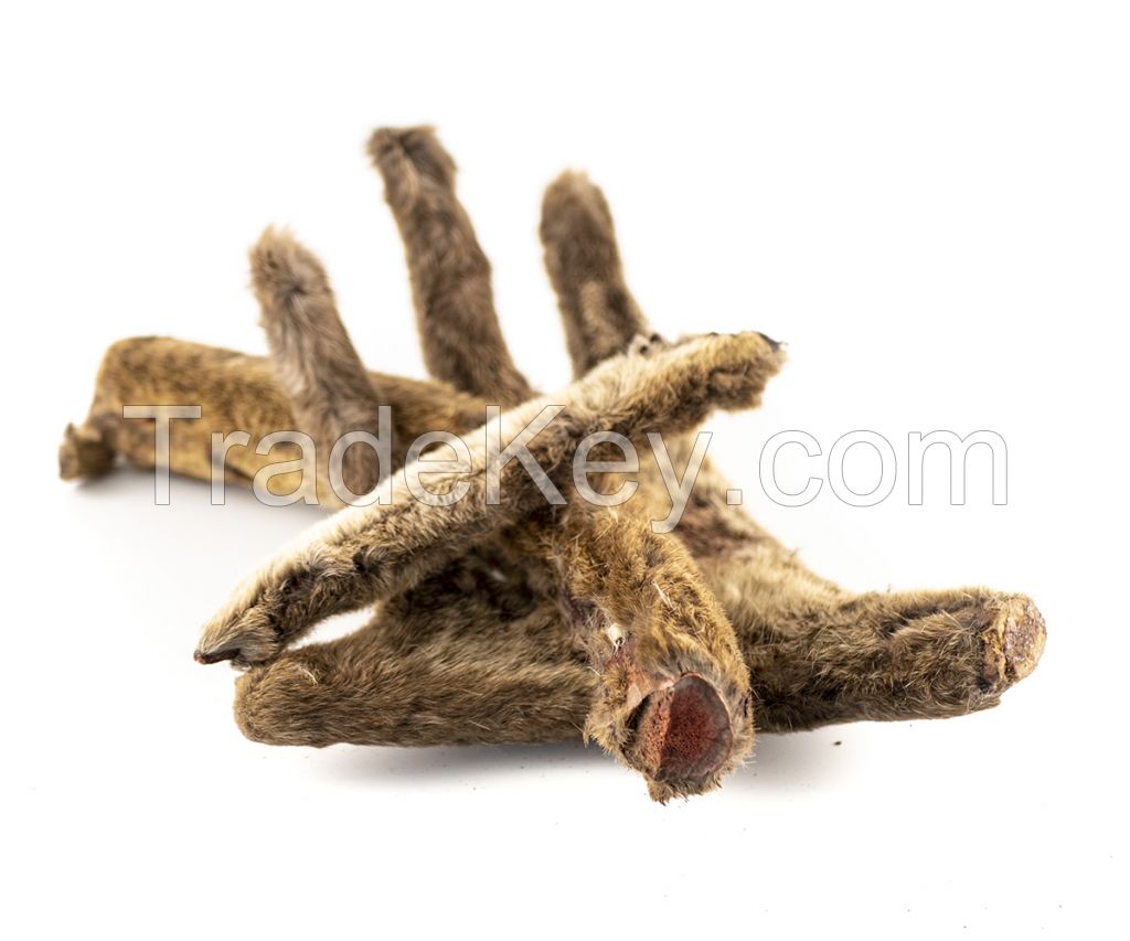 Deer Antler Velvet Preserved For Traditional Medicine