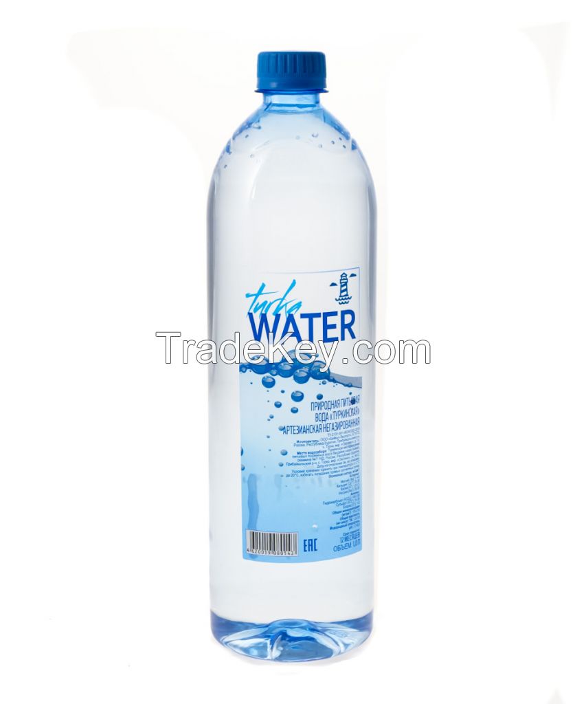 Packaged natural drinking water  Water 1 L