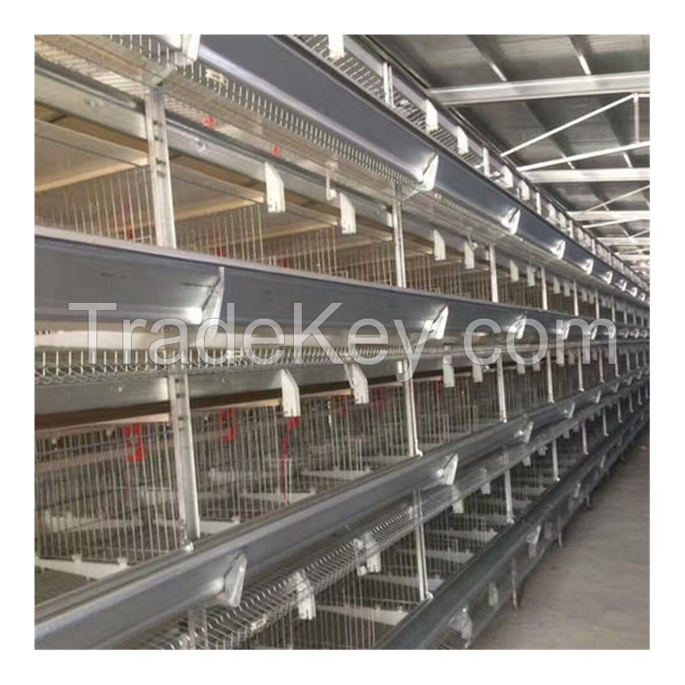 chicken animal cage, Cage automatic chicken, automatic battery cage system for chickens