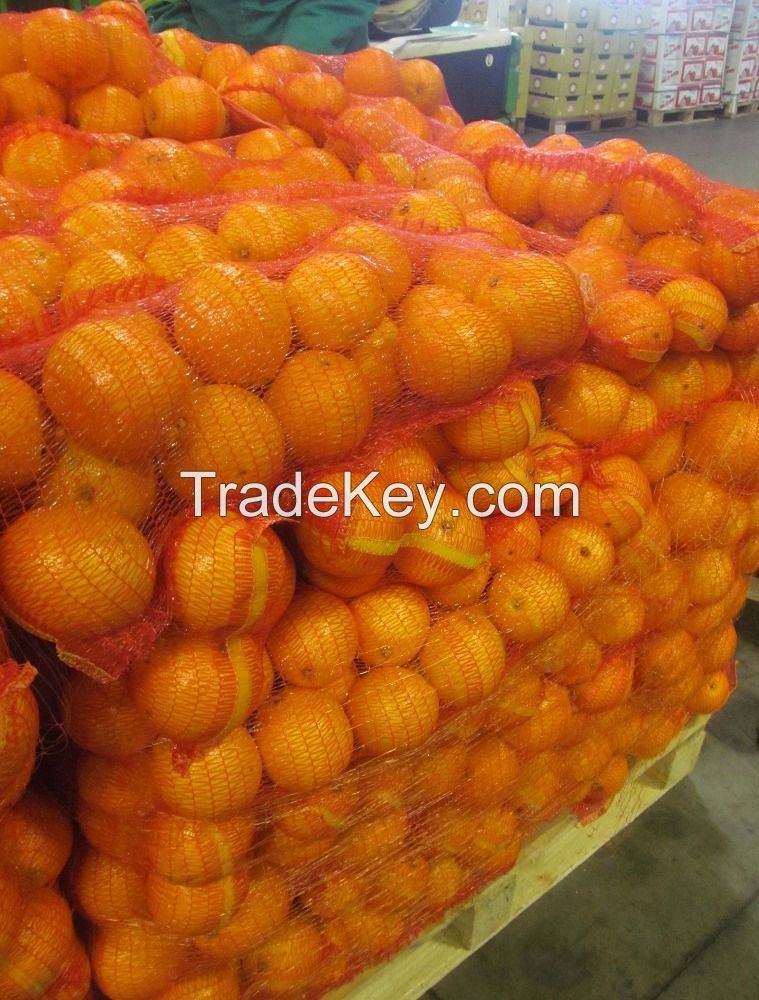 Fresh Navel and Valencia Oranges