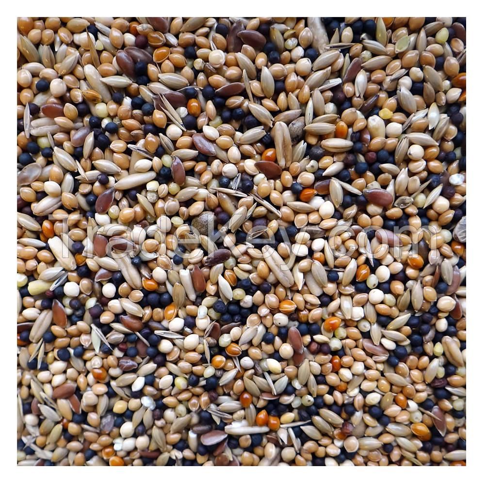 Ukrainian Factory Supplies Best Selling Parrot Mixed Food for Bird Feed, Seeds For Wholesale Finches And Exotic Birds