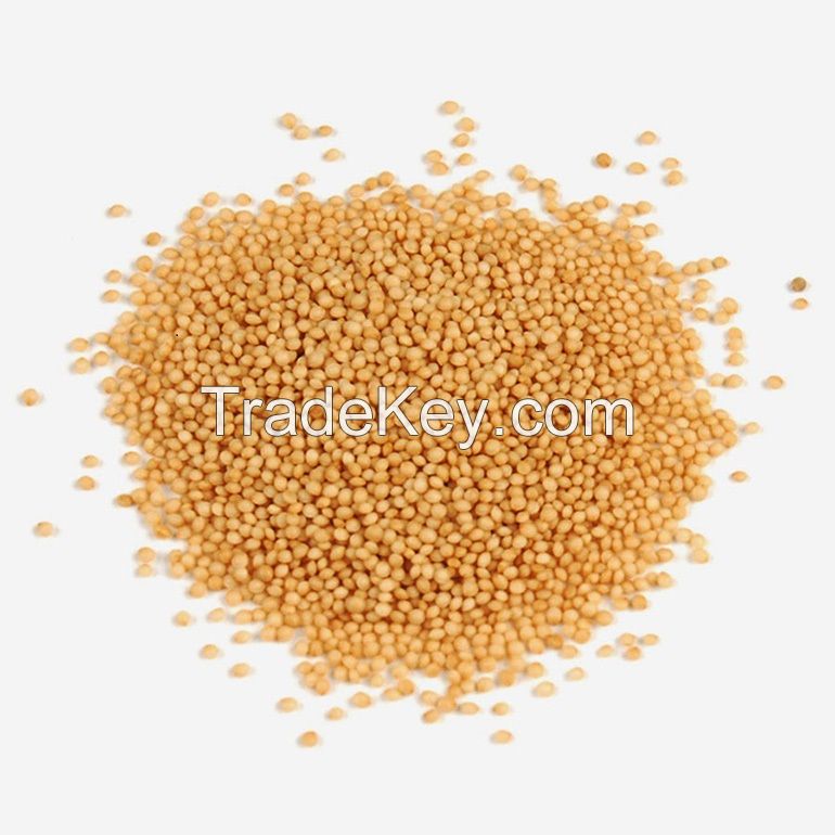 Premium Natural Amaranth For Sale