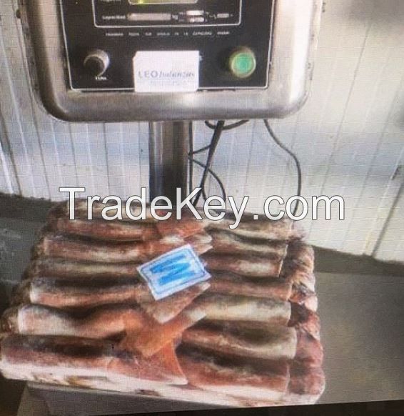 Frozen Whole Illex Squid - (200 - 600g Up) for sale 