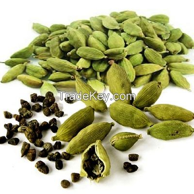 Dried green cardamom spice,Elongated Shape Dried green cardamom,Philippine green cardamom