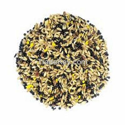 Ukrainian Factory Supplies Best Selling Parrot Mixed Food for Bird Feed, Seeds For Wholesale Finches And Exotic Birds