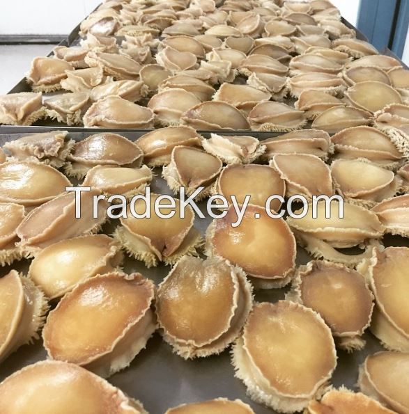 Natural Fresh Dried Abalone for sale cheap price