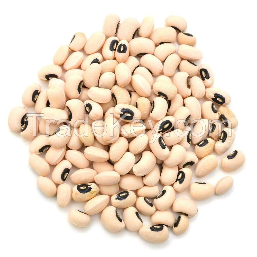 Dried Black eye bean | Black Eyed Beans | Machine Picked black eye beans