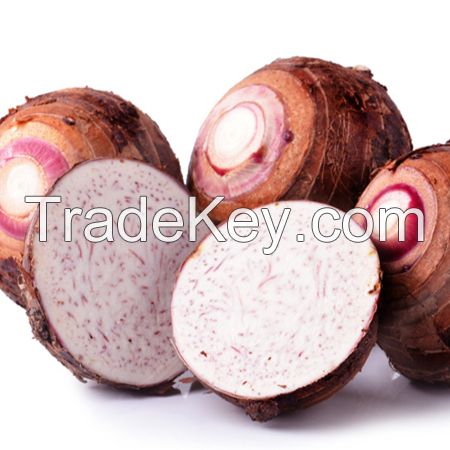 Fresh Taro for sale Cheap Price