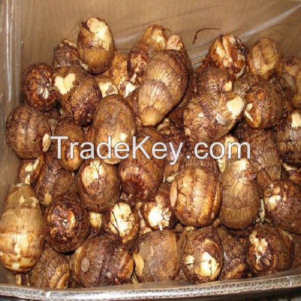 Fresh Taro for sale Cheap Price