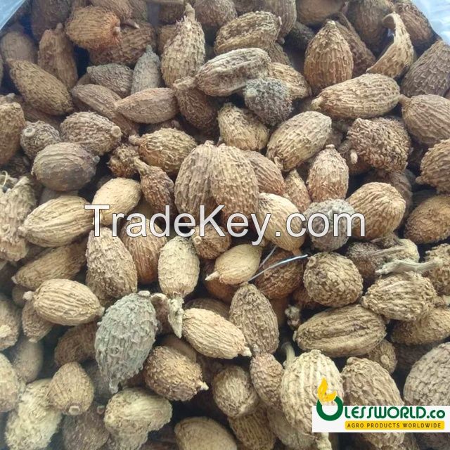 Wild cardamom  Frustus Amomi sale cheap Price