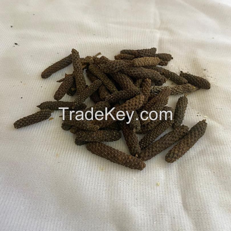 Dried Long Pepper, Pipli Seeds, Black Pepper