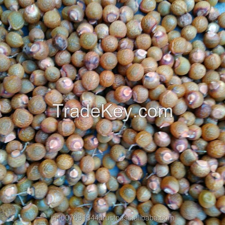 Organic Soap Nuts for sale cheap price