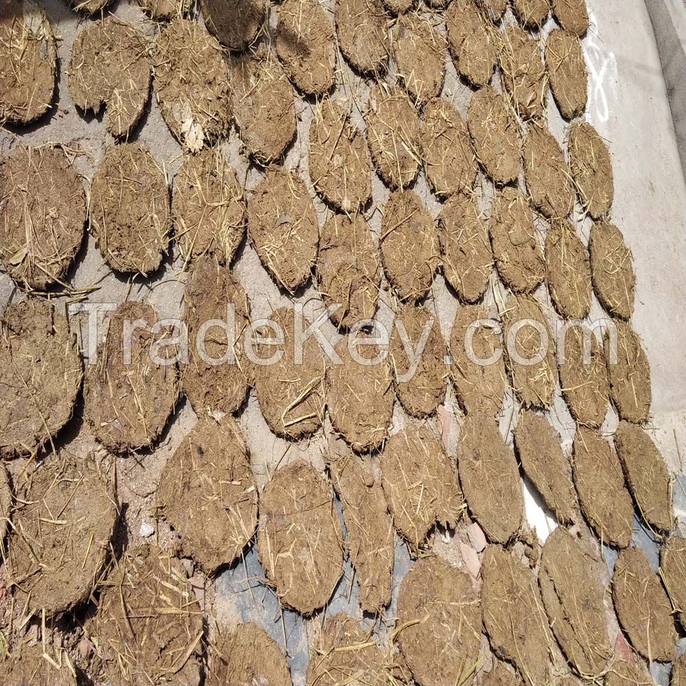 Cheap and handmade cow dung cakes