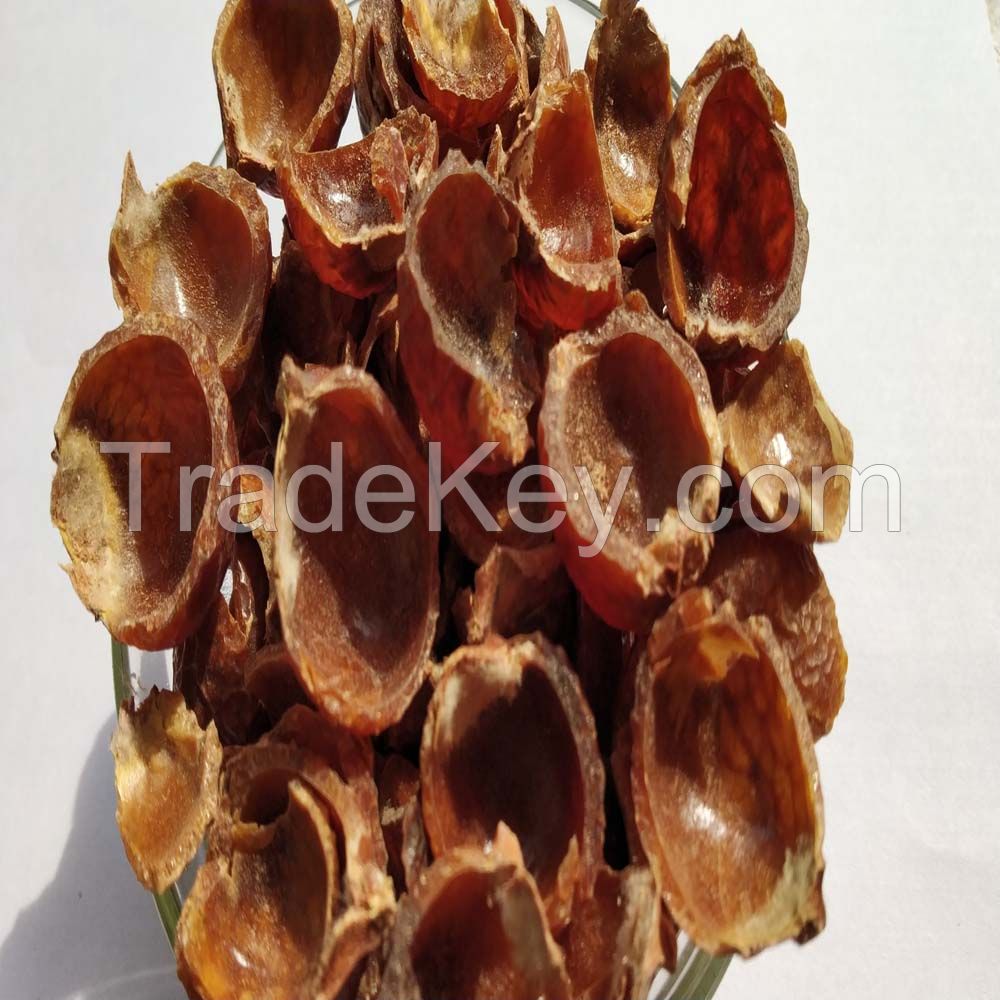 Wholesale soap nuts Shell / Organic soap nuts Shell