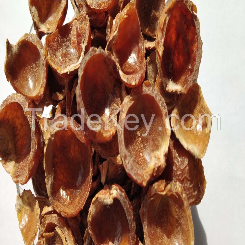 Wholesale soap nuts Shell / Organic soap nuts Shell