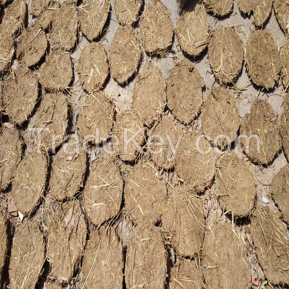 Cheap and handmade cow dung cakes