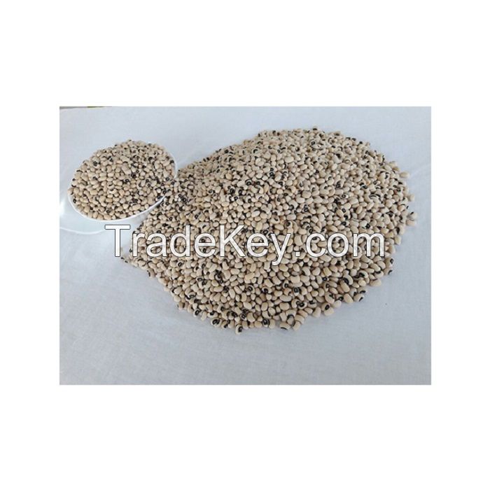 Dried Black eye bean | Black Eyed Beans | Machine Picked black eye beans for Sale