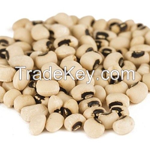 Dried Black eye bean | Black Eyed Beans | Machine Picked black eye beans for Sale