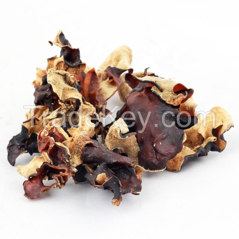 Black Fungus/Agaric Magic Dried Black tree ear Fungus Mushroom