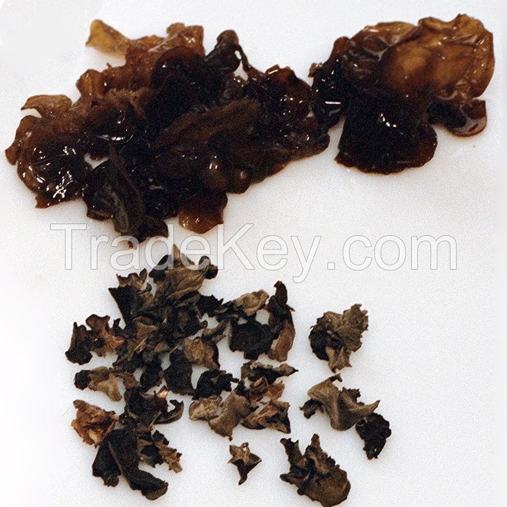 Black Fungus/Agaric Magic Dried Black tree ear Fungus Mushroom