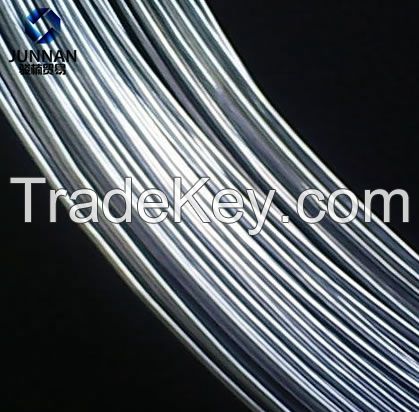 20 Gauge for Fruit Wire Basket Free Samples Cold Galvanised Galvanized Steel Electro Galvanized Loop Tie Wire Binding Wire