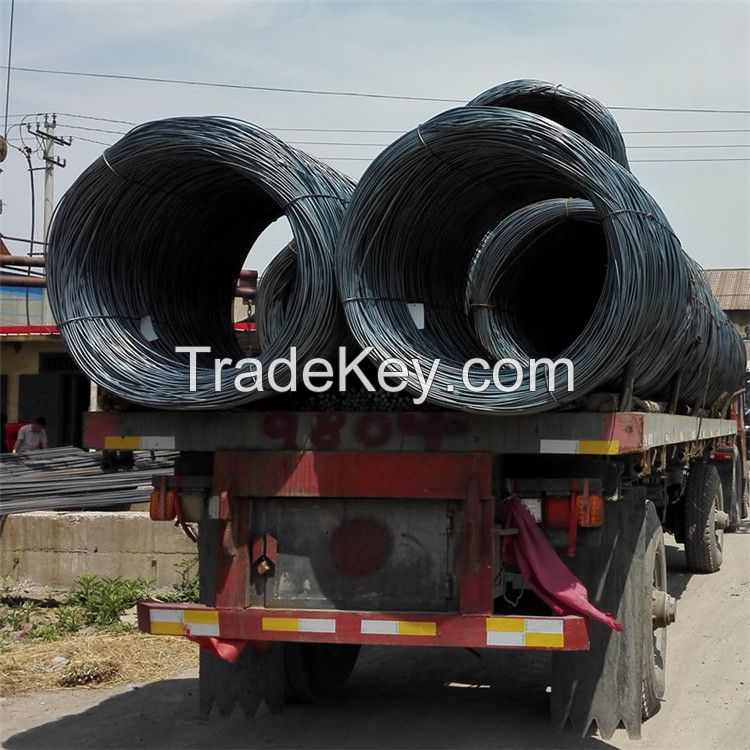 High Strength Iron Steel Wire Rod For Making Nails and Screws Steel Wire Rod
