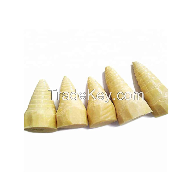 Canned bamboo shoot Whole Halves slice strip for sale