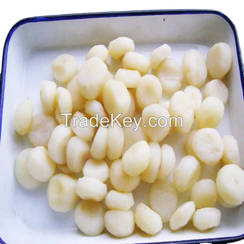 NEW SEASON water chestnuts in canned tins vegetables factory price for sale